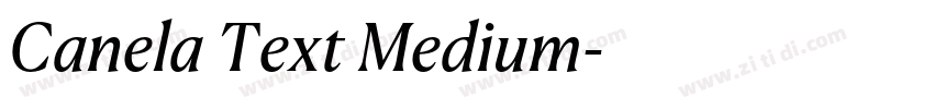 Canela Text Medium字体转换